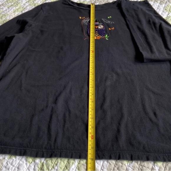 LONG Sleeve 🦉Shirt Sz-3XL Super Cute- Oct./Fall/Halloween-Embroidered & Sequins - Picture 14 of 17